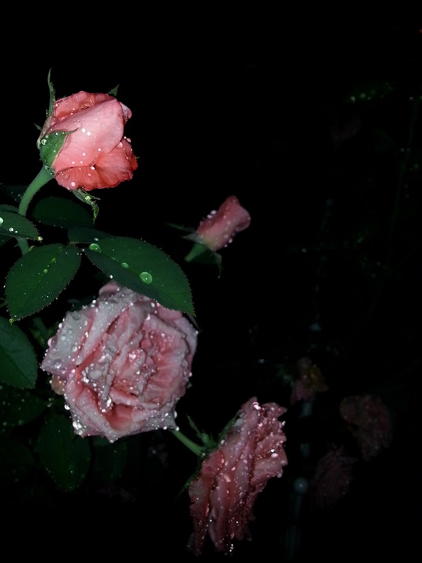 20130712_224335.jpg