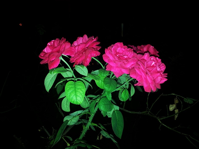 20130718_223259_conew1.jpg