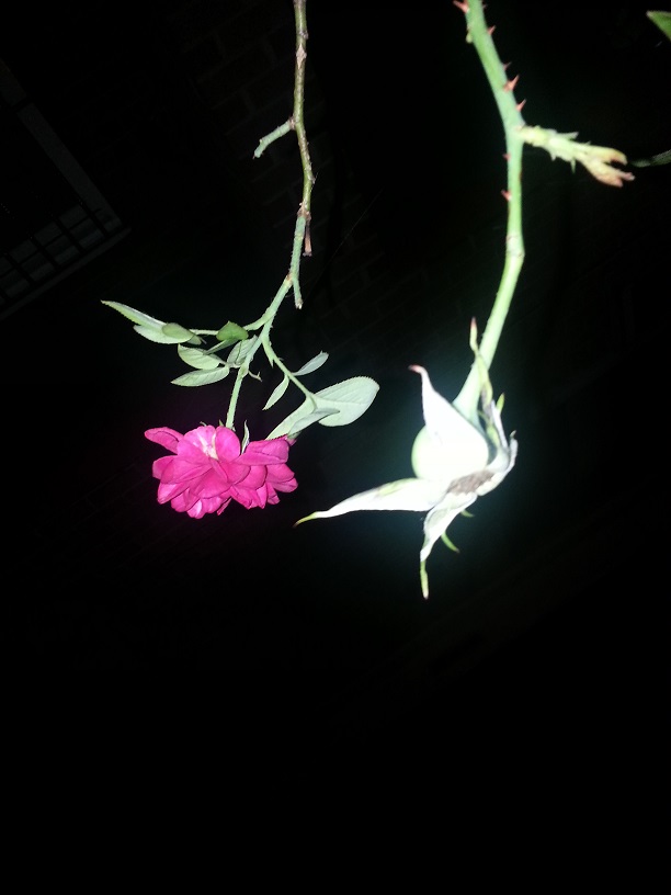 20130718_223026.jpg