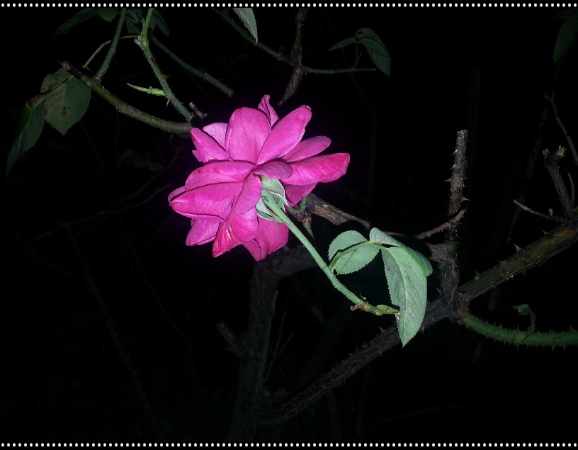 20130718_223202_conew1.jpg