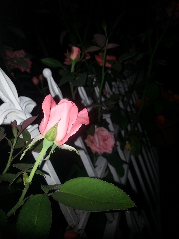 20130705_223009.jpg