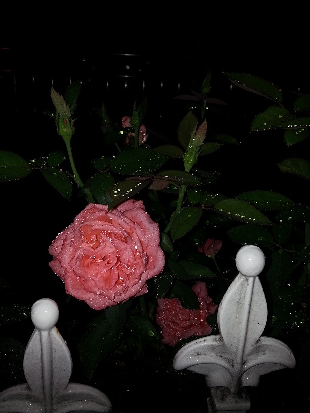 20130712_224137.jpg