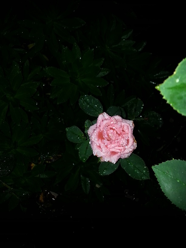20130712_224550.jpg