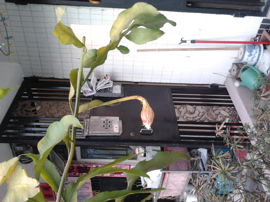 QQͼ20130712220811.png