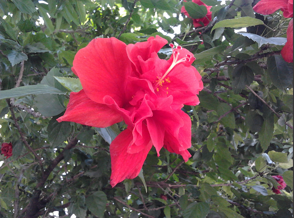 QQͼ20130729212558.png
