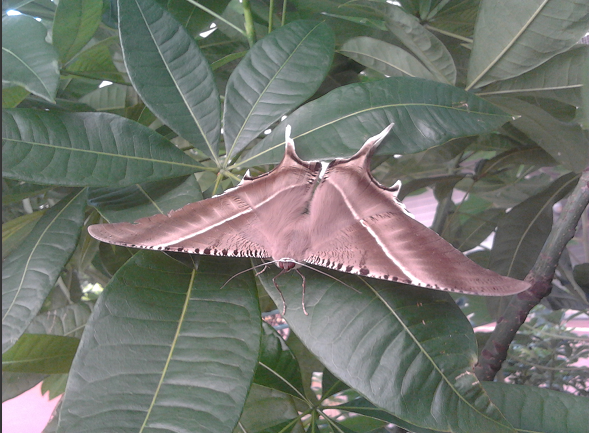 QQͼ20130730204352.png