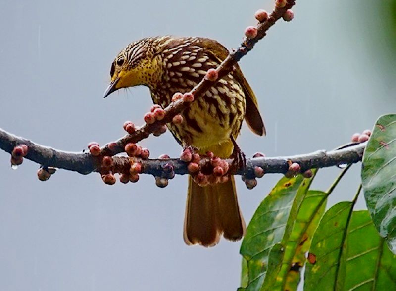 DSC_4032.jpg