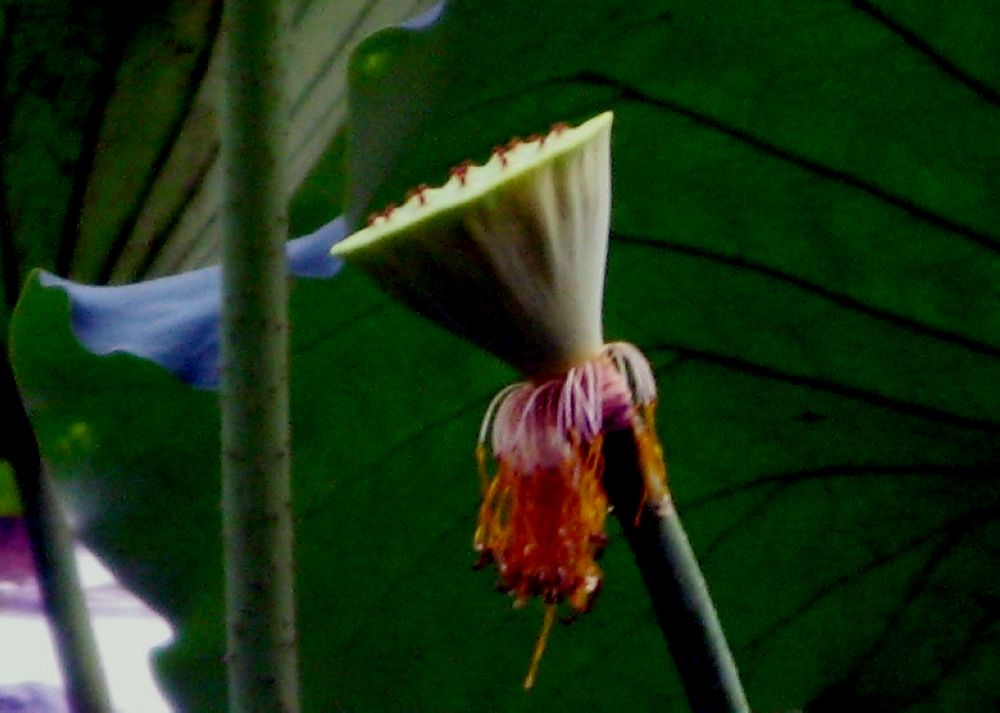 CMG_5503.jpg