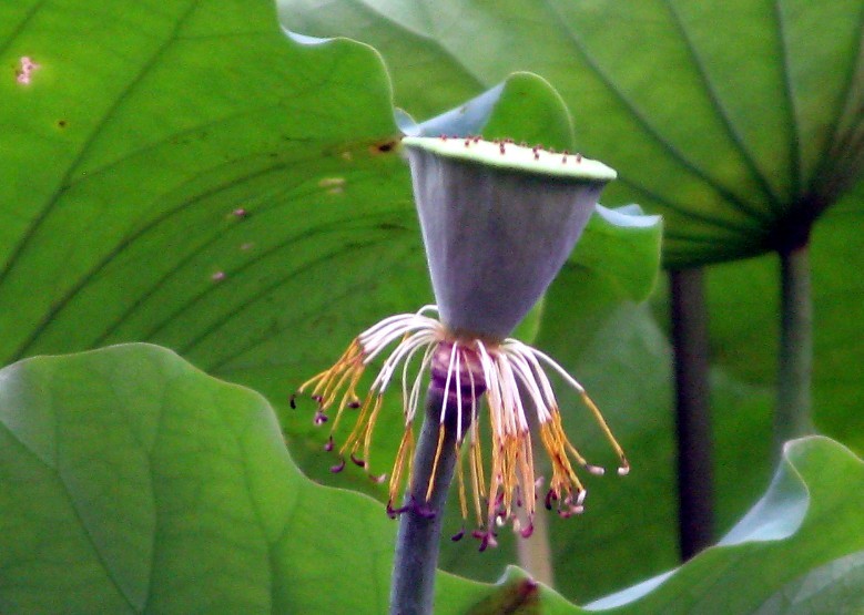 CMG_5511.jpg