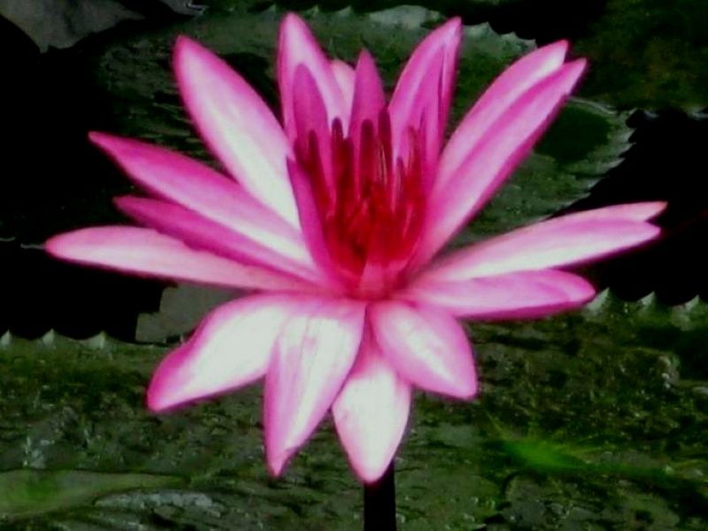 40_DSC3015.jpg