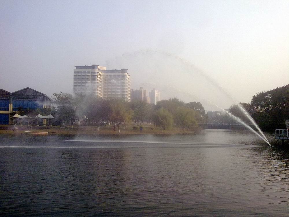 DSC_1118.jpg