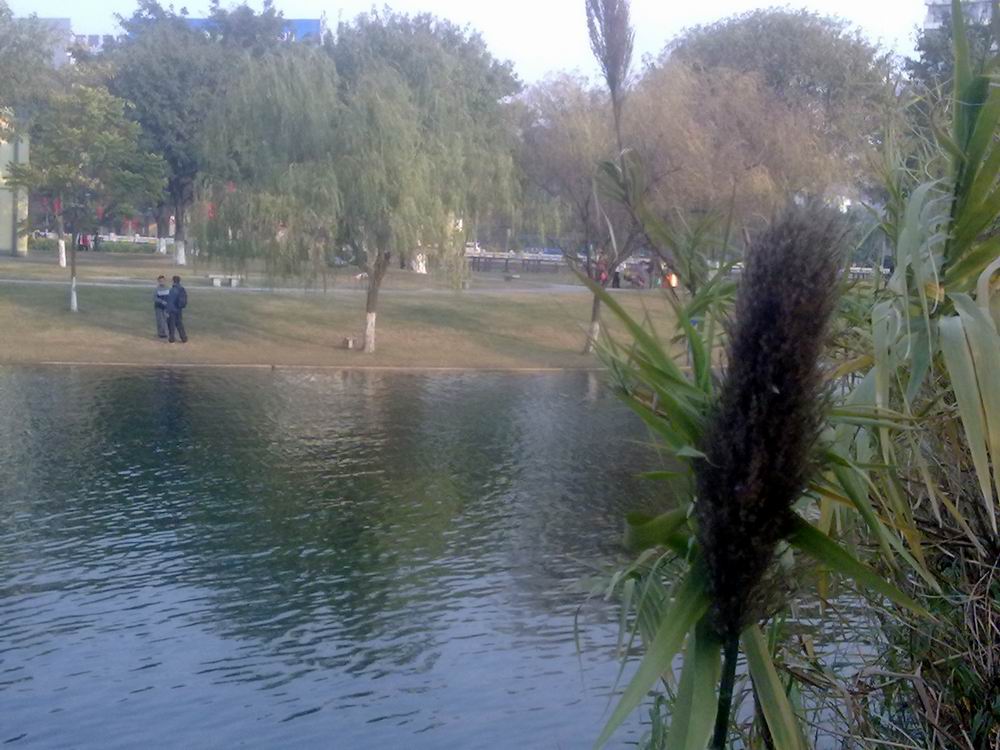 DSC_1117.jpg