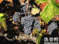 u=920591606,2678821931&amp;fm=15&amp;gp=0[1].jpg