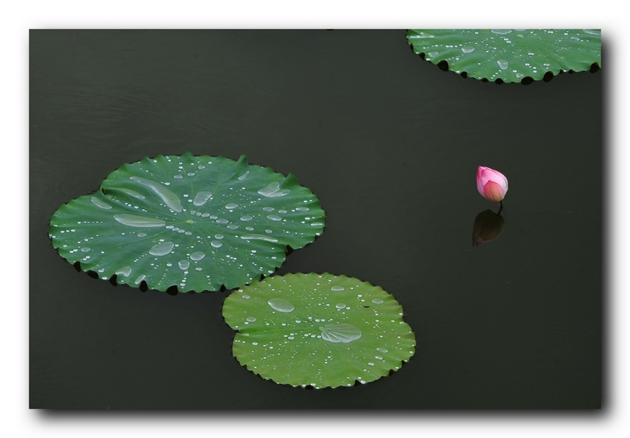 ��Ƭ 5486921.jpg