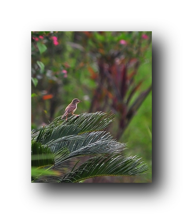 ��Ƭ 548649311.jpg