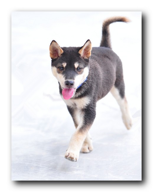 ��Ƭ 12661jpg.jpg