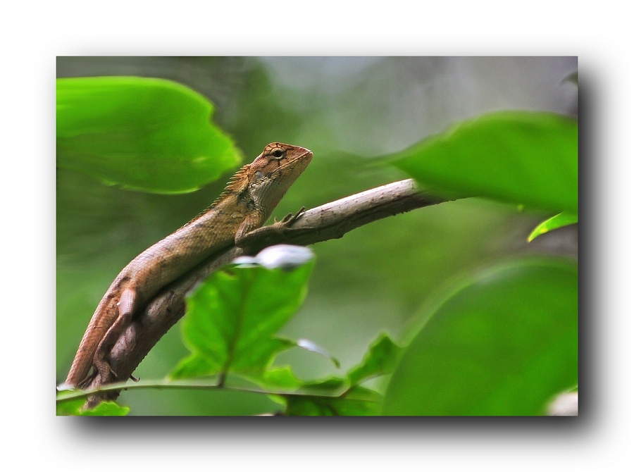 ��Ƭ 54864921.jpg