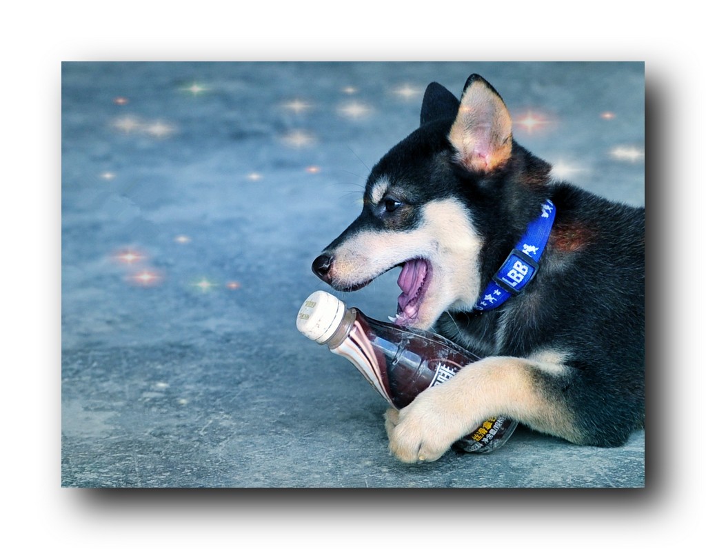 ��Ƭ 12011jpg.jpg