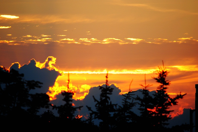 DSC_0103.JPG