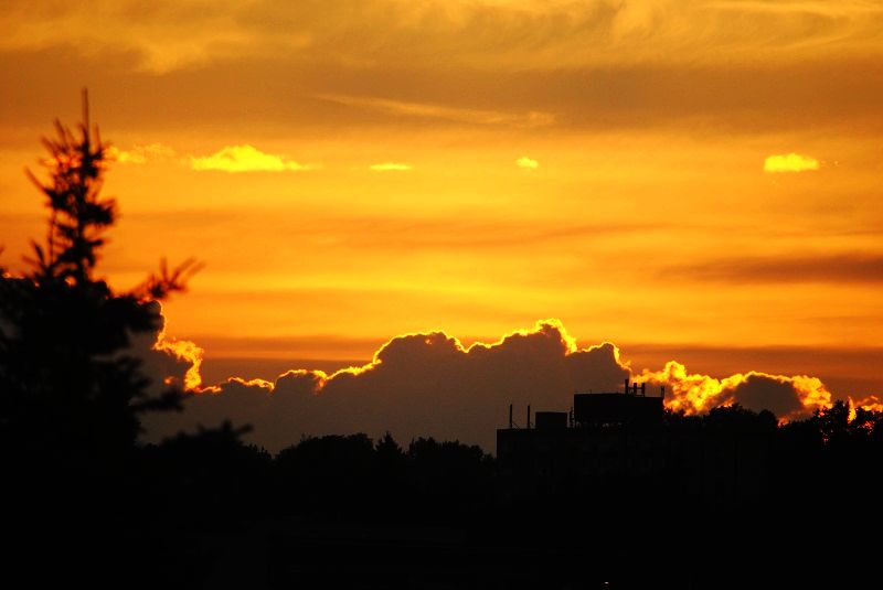 DSC_0129.JPG
