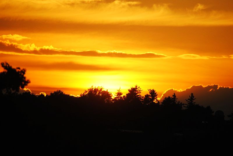 DSC_0117.JPG