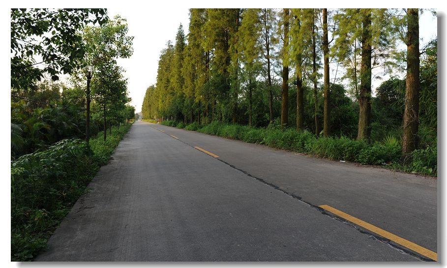 ����2 121.jpg