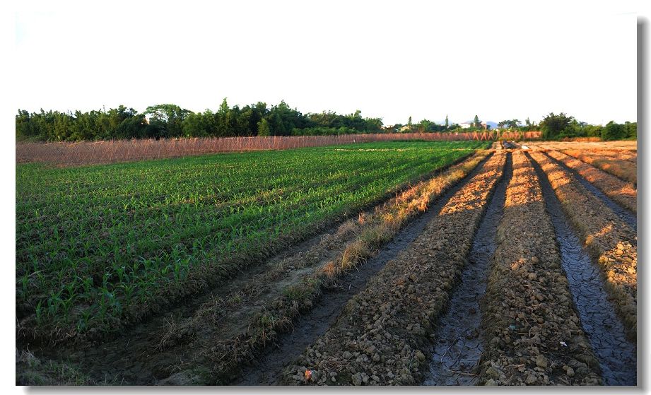 ����2 129.jpg