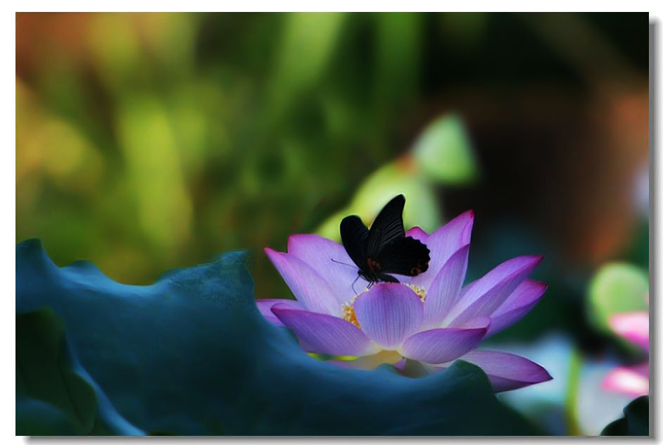 ����2 744.jpg