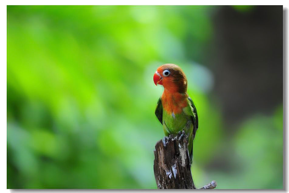 ����2 213.jpg