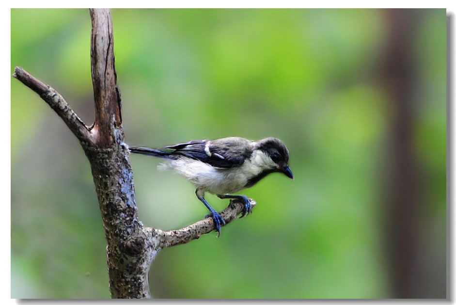 ����2 568(1).jpg