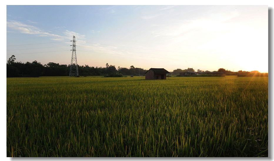 ����2 116.jpg