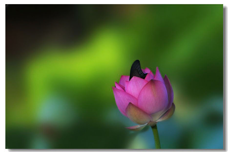 ����2 747����.jpg