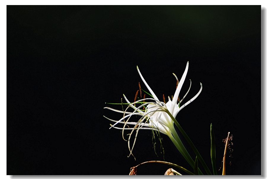 ������3 114.jpg