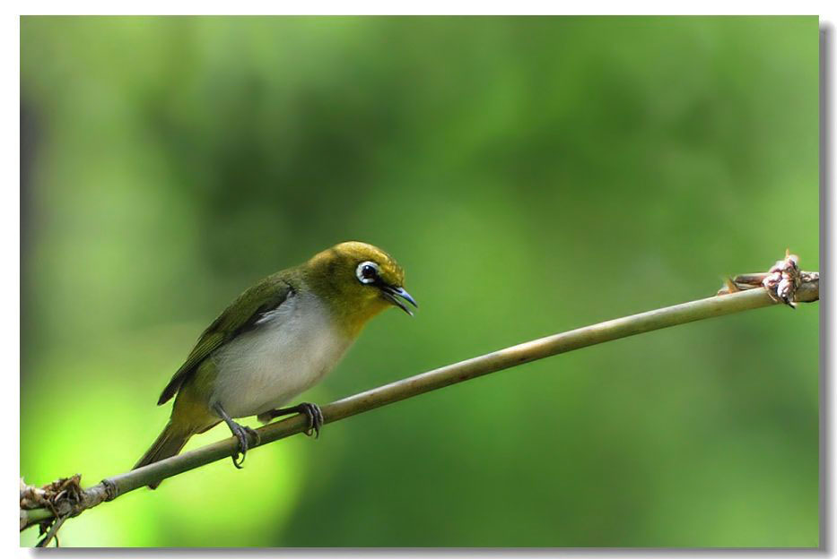 ����2 716.jpg