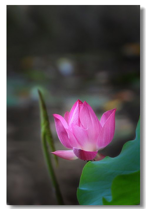 ������3 070(1).jpg