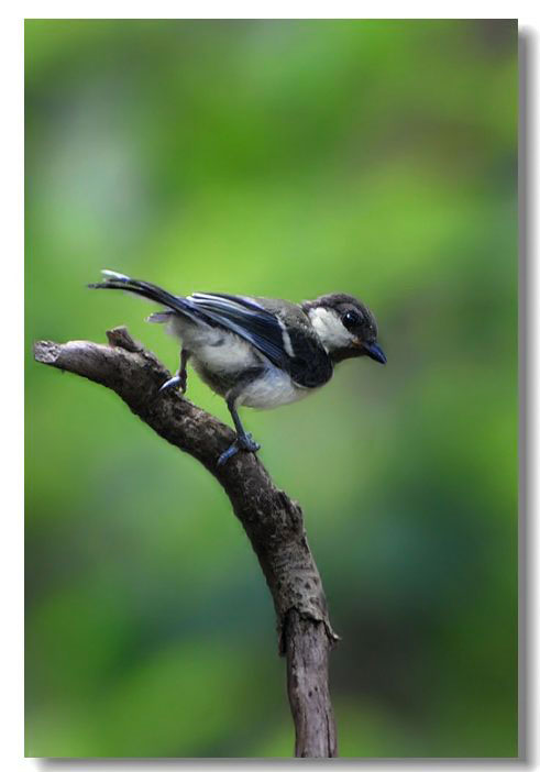 ����2 561(1).jpg