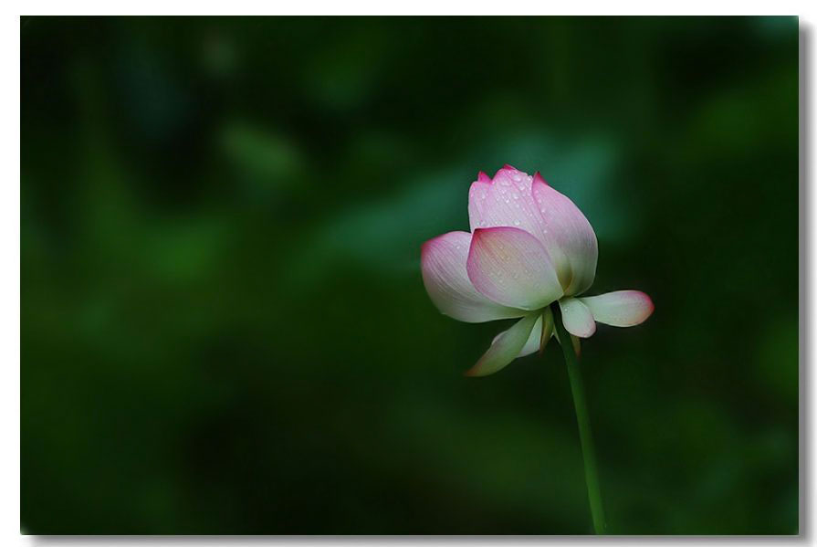 13��ɻ� 074(1)����.jpg