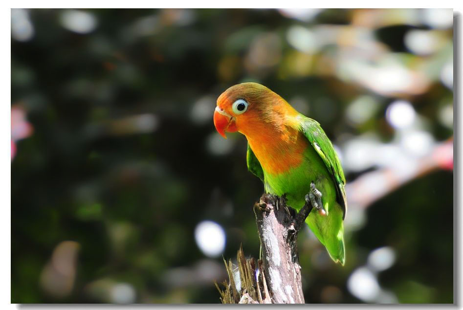 ����2 181.jpg