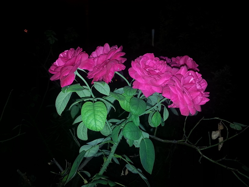 20130718_223259.jpg