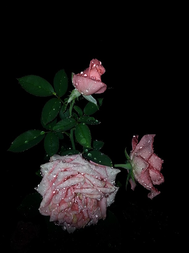 20130712_224314.jpg