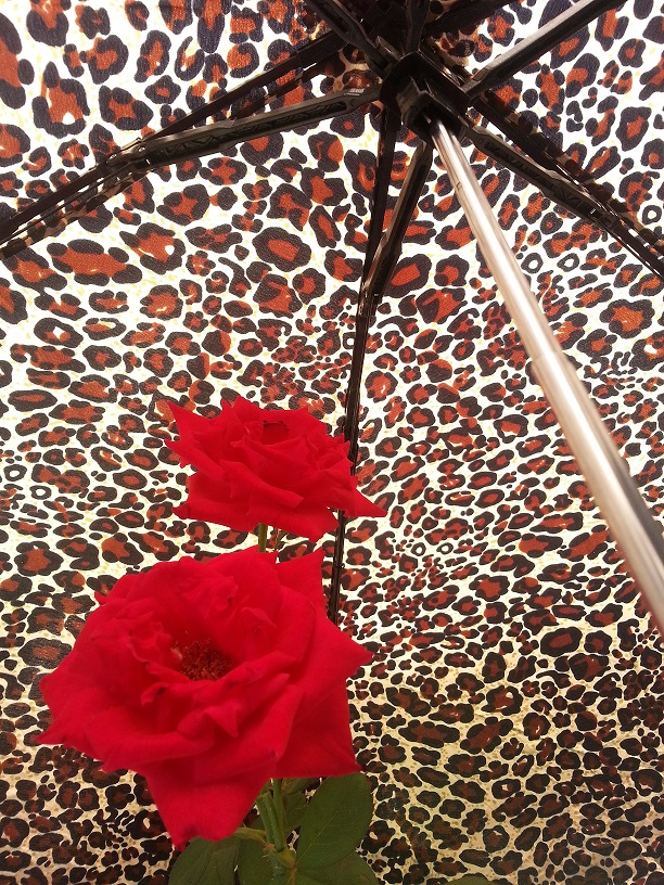 20130718_114824.jpg