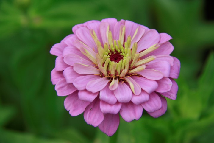 _MG_8180 (Small).JPG