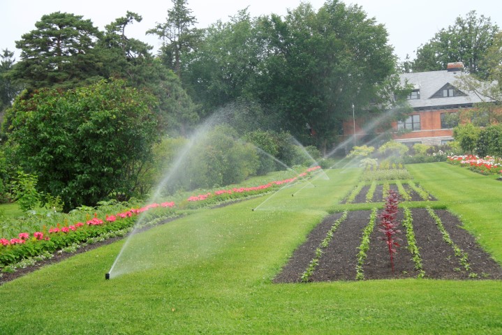 _MG_9224 (Small).JPG