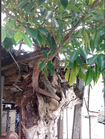 QQͼ20130807205630.png