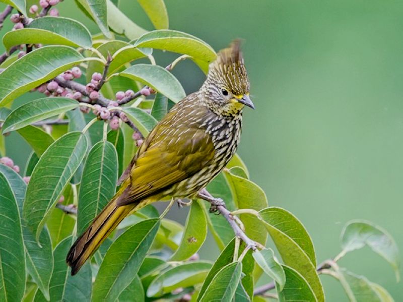 DSC_4023.jpg