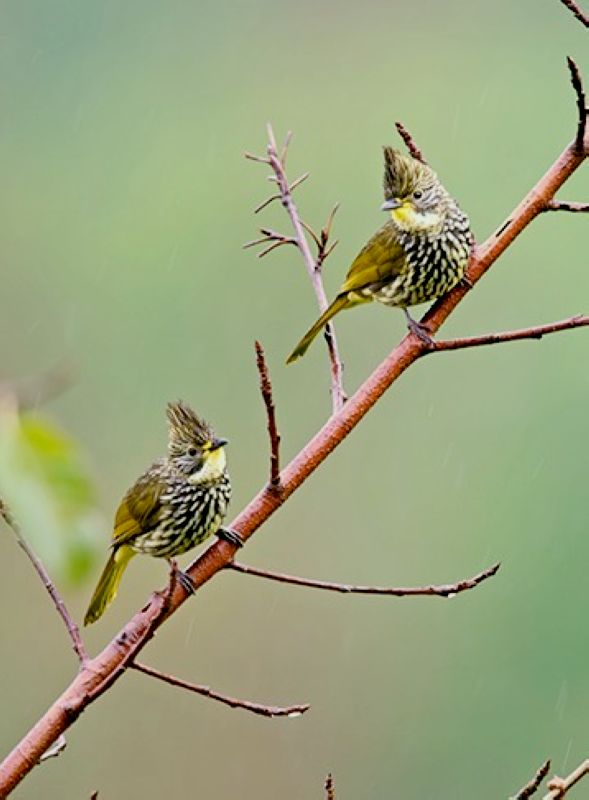 DSC_4033.jpg