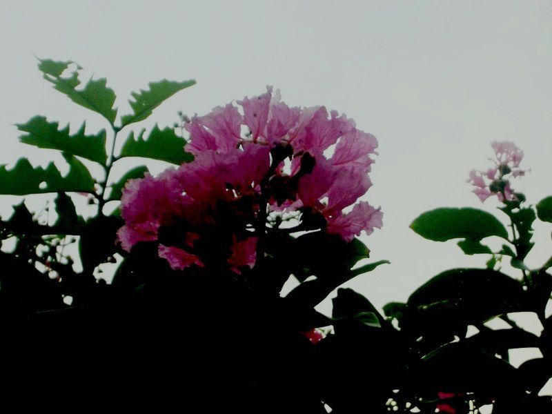 CMG_1220.jpg