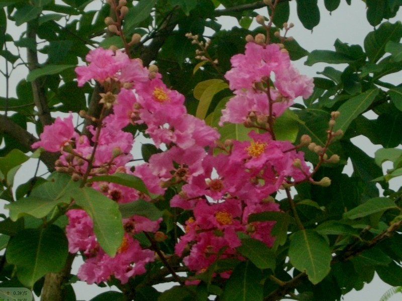 CMG_1221.jpg