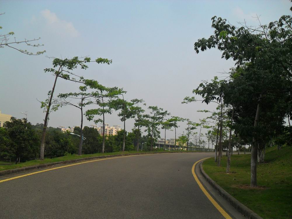 SAM_0143.JPG