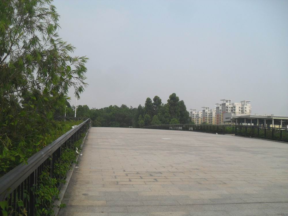 SAM_0145.JPG